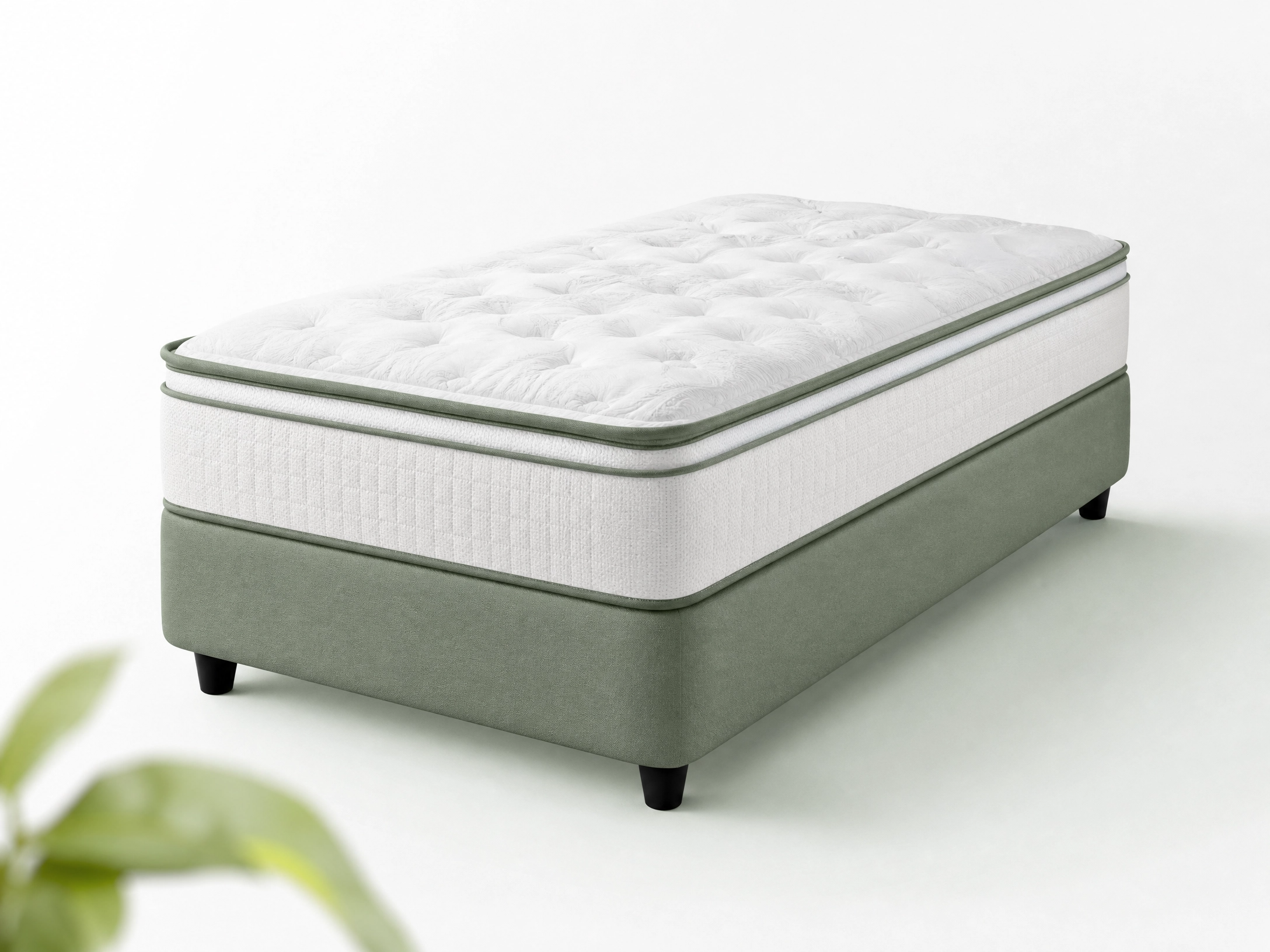 About Shane Networks Furniture Sales